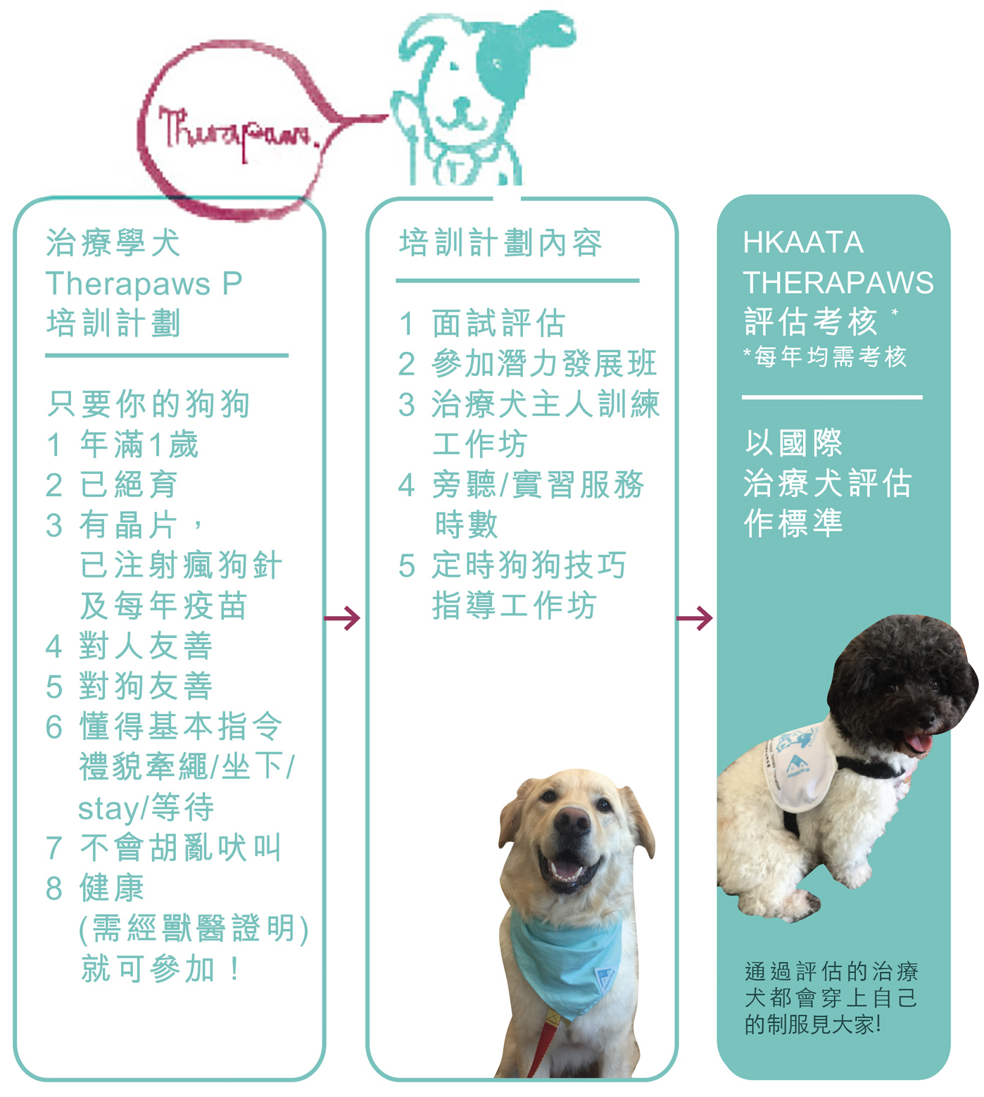 HKAATA THERAPAWS 治療犬及 THERAPAWS P 治療學犬培訓計劃